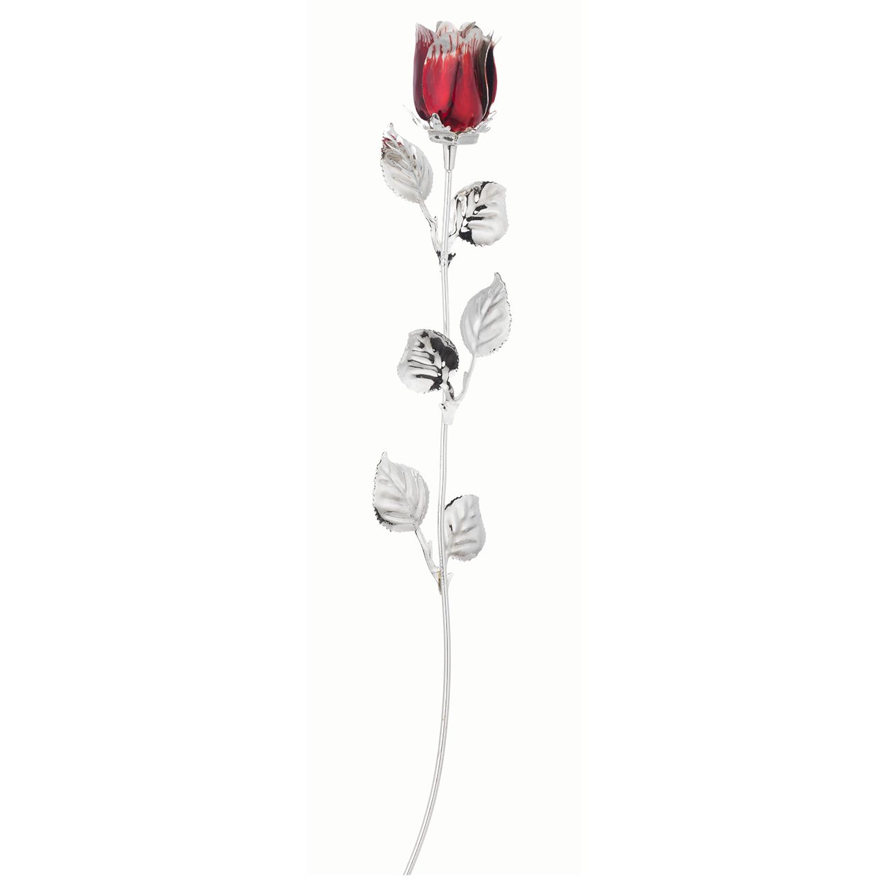 10X ROSE CM 30 - BORDEAUX SCARLATTA (SENZA CONFEZIONE)